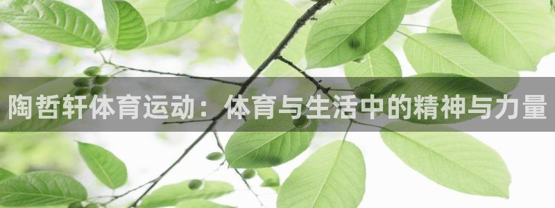xc体育app官方网站：陶哲轩体育运动：体育与生活中的精神与力量
