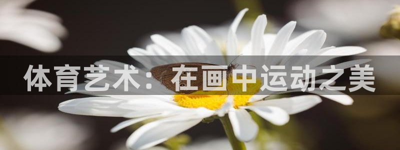 xc体育app官方网站：体育艺术：在画中运动之美