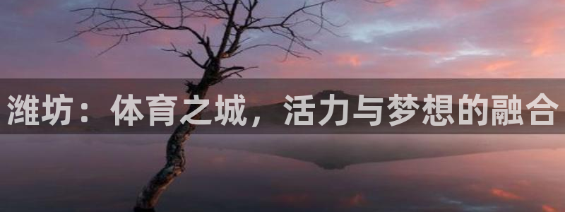 xc体育app官方网站：潍坊：体育之城，活力与梦想的融合