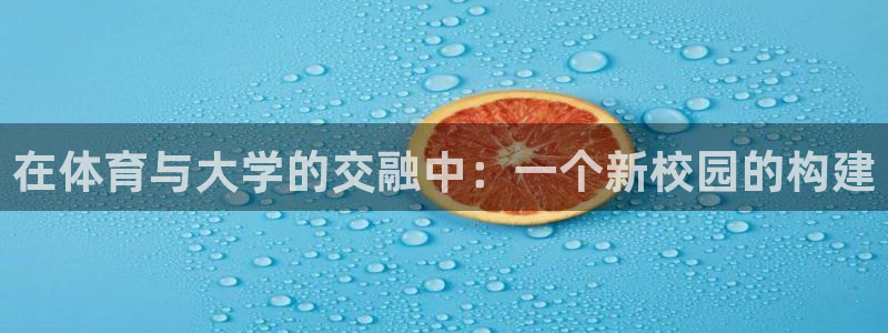xc体育