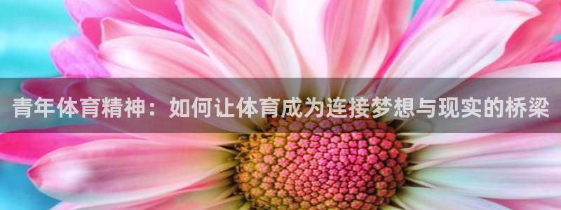 xc体育：青年体育精神：如何让体育成为连接梦想与现实的桥梁