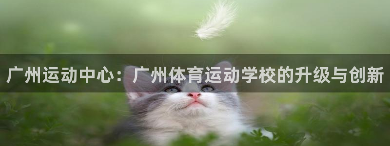 xc体育app官方网站：广州运动中心：广州体育运动学校的升级与创新