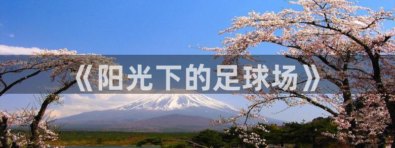 xc体育app官方网站：《阳光下的足球场》