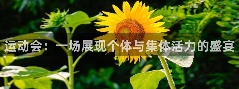 xc体育app官方网站：运动会：一场展现个体与集体活力的盛宴