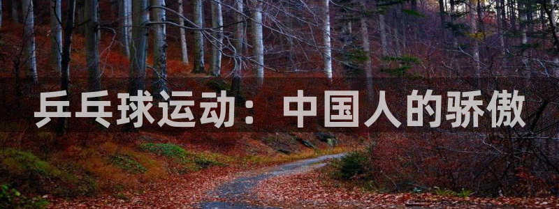 xc体育app官方网站：乒乓球运动：中国人的骄傲