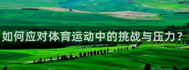 xc体育：如何应对体育运动中的挑战与压力？
