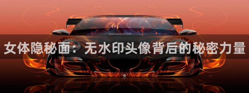 xc体育app官方网站：女体隐秘面：无水印头像背后的秘密力量