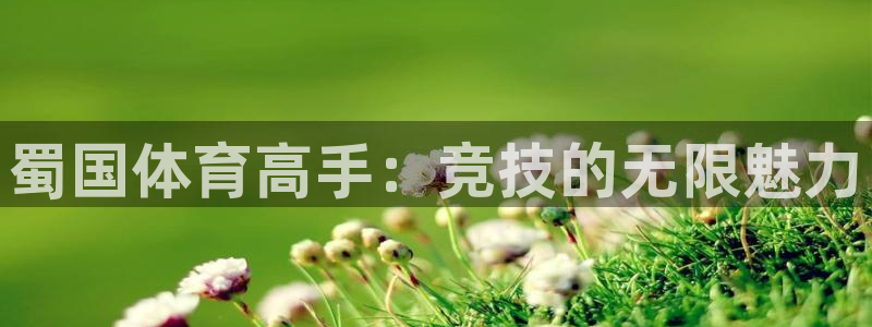 xc体育app官方网站：蜀国体育高手：竞技的无限魅力