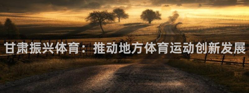 xc体育app官方网站：甘肃振兴体育：推动地方体育运动创新发展