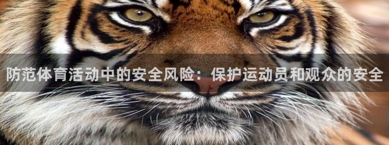 xc体育：防范体育活动中的安全风险：保护运动员和观众的安全