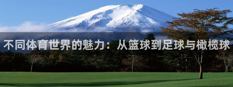 xc体育：不同体育世界的魅力：从篮球到足球与橄榄球