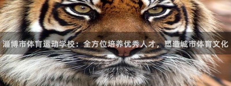 xc体育：淄博市体育运动学校：全方位培养优秀人才，塑造城市体育文化