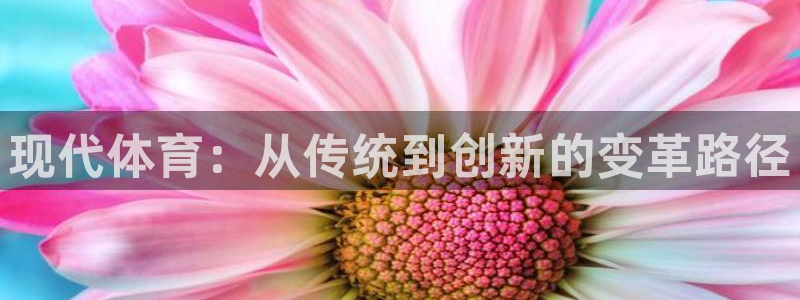xc体育app官方网站：现代体育：从传统到创新的变革路径