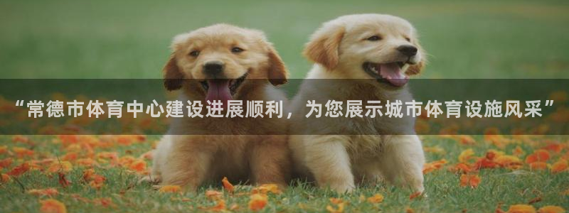xc体育：“常德市体育中心建设进展顺利，为您展示城市体育设施风采”