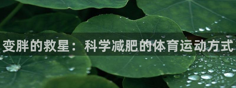 xc体育：变胖的救星：科学减肥的体育运动方式