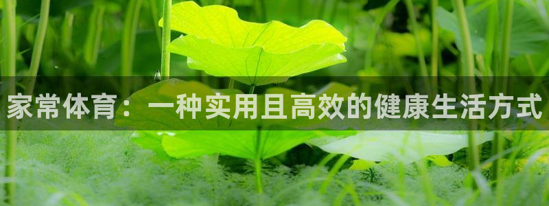 xc体育：家常体育：一种实用且高效的健康生活方式