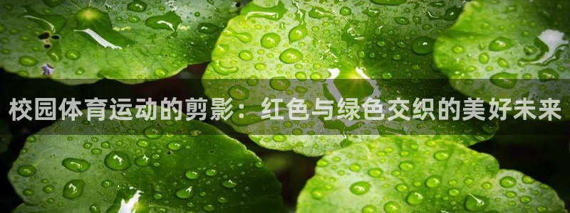 xc体育：校园体育运动的剪影：红色与绿色交织的美好未来