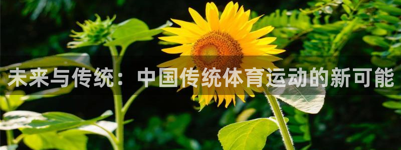 xc体育app官方网站：未来与传统：中国传统体育运动的新可能