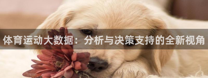 xc体育：体育运动大数据：分析与决策支持的全新视角