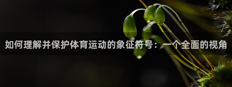xc体育app官方网站：如何理解并保护体育运动的象征符号：一个全面的视角