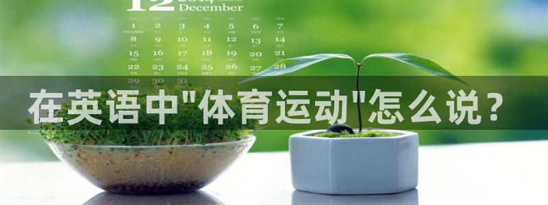 xc体育：在英语中\