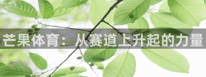 xc体育app官方网站：芒果体育：从赛道上升起的力量